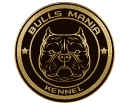 Bulls_Mania